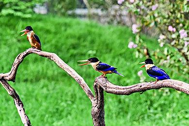 2025漫博与杰仕登相约一个浪漫的夏季 多项乙女独家商品与满额礼等各位玩家来收藏 !